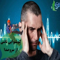 کم شنوایی ناشی از سر و صدا (NIHL)